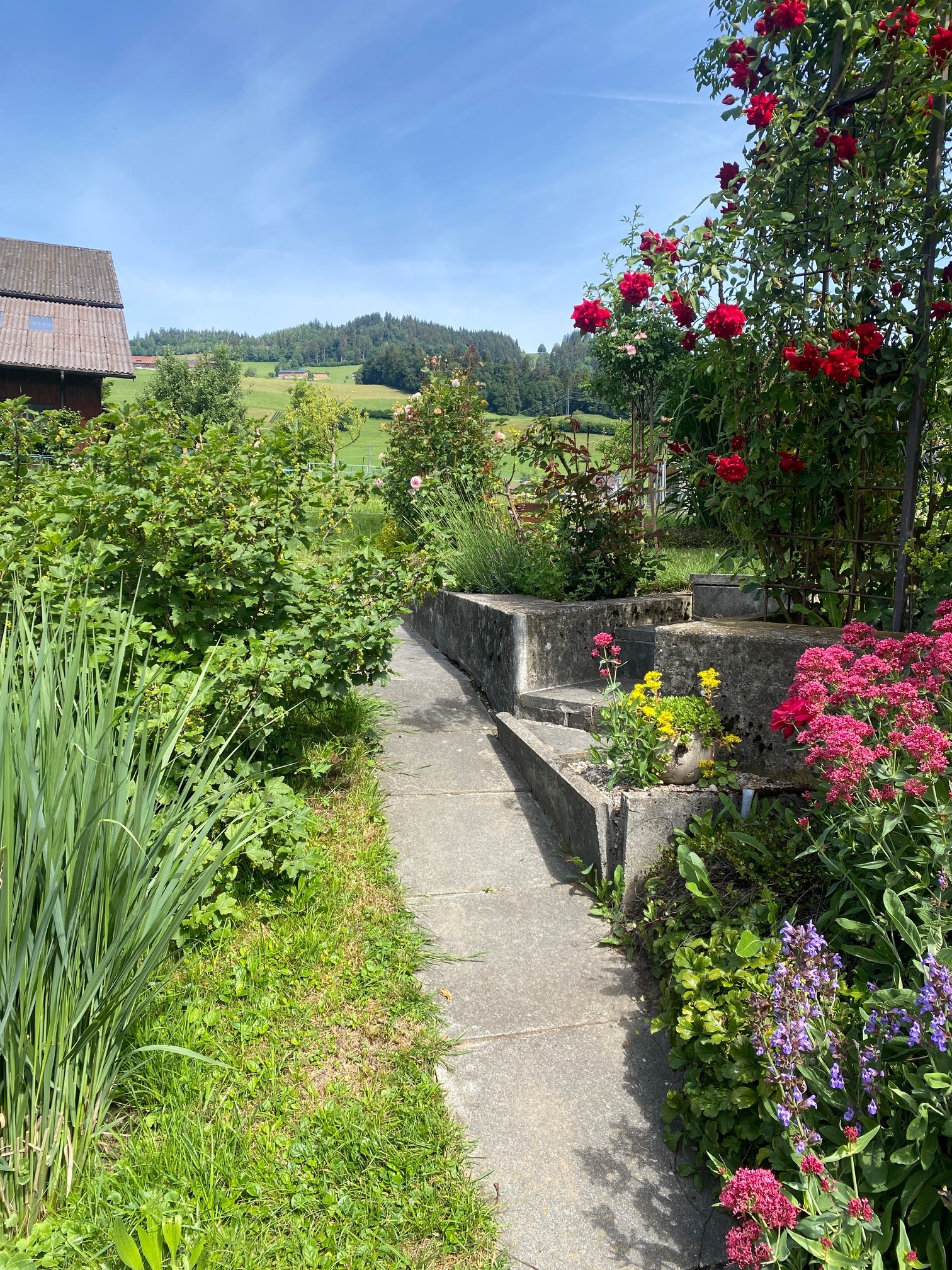 Weg_1833
